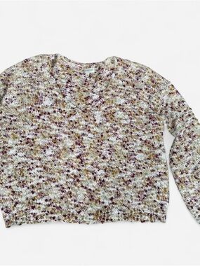 EARTHBOUND Speckled Cream, Olive & Burgundy V-Neck Sweater